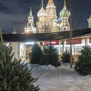 Освещение парка Зарадье в Москве